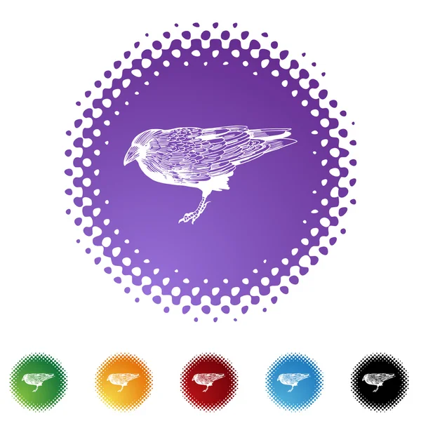 Crow web icon — Stock Vector