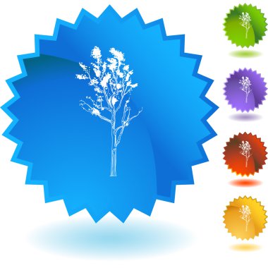Sıska ağaç web düğme kümesi
