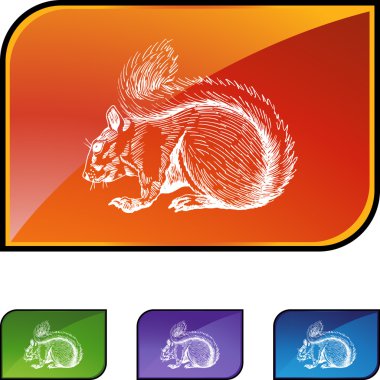 Sincap web düğmesi