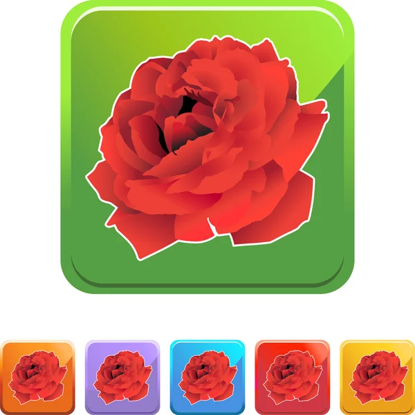 Rose icono web — Archivo Imágenes Vectoriales