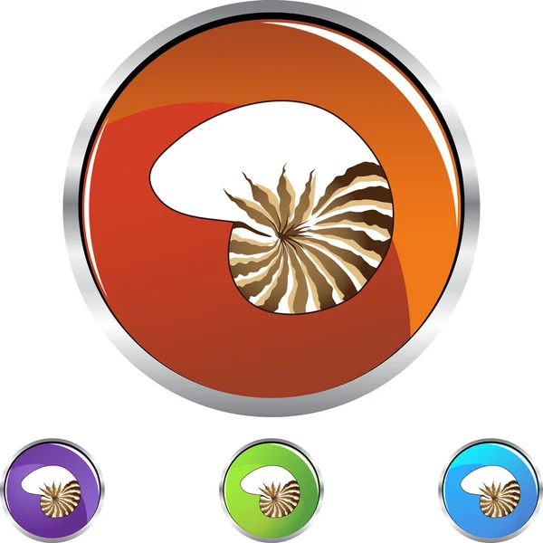 Seashell web icon — Stock Vector