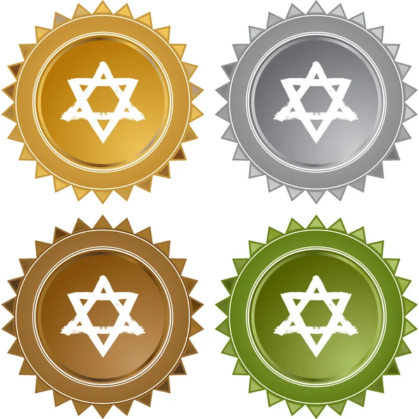 Jewish Star web icon — Stock Vector