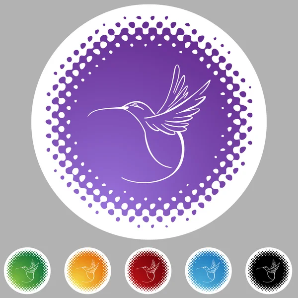Hummingbird web button — Stock Vector