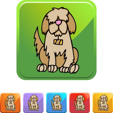 Saint Bernard web simgesi