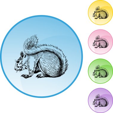 Sincap web düğmesi