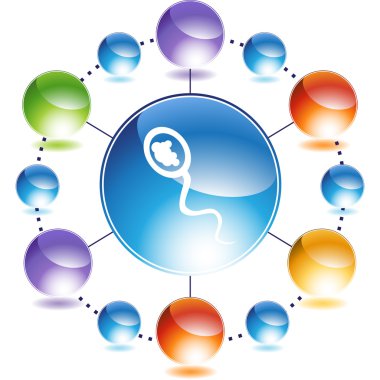 Sperm hücresi web düğmesi