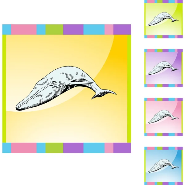 Pulsante web balena — Vettoriale Stock