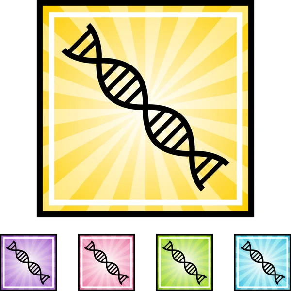 Ícone da web de cadeia de DNA — Vetor de Stock