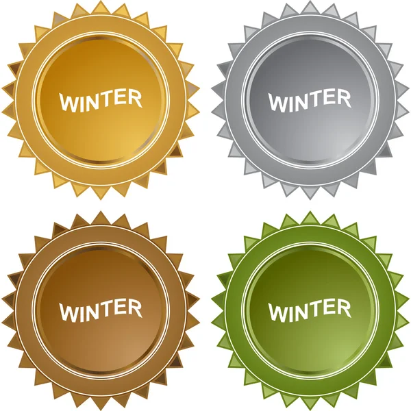 Κουμπί web σημαδιών χειμώνα — Διανυσματικό Αρχείο