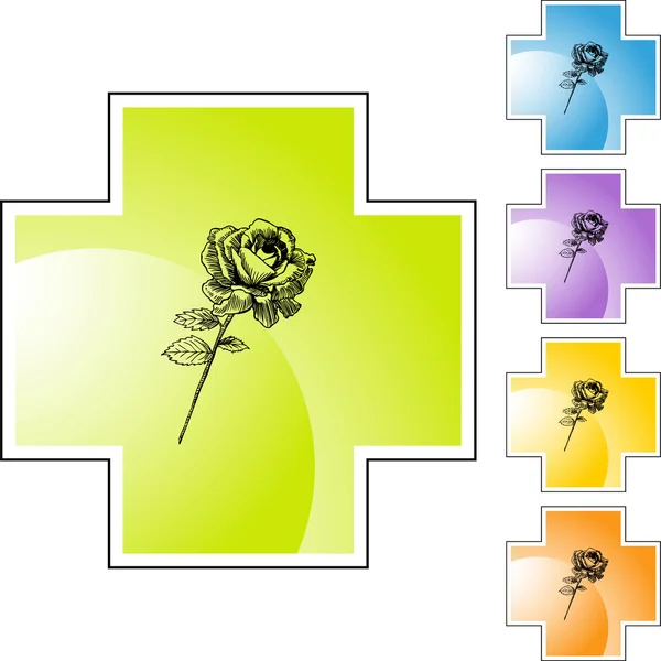 Ikona webové Stem růže — Stockový vektor