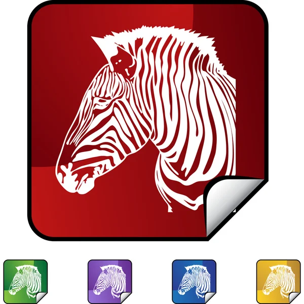 Zebra web knop — Stockvector