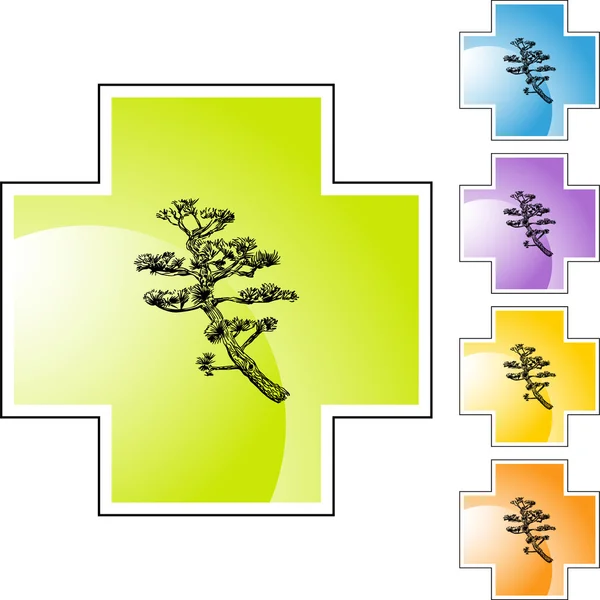 Przycisk web drzewo Bonsai — Wektor stockowy