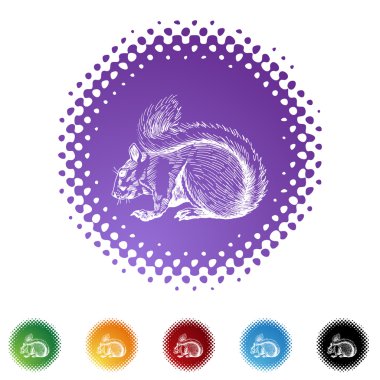 Sincap web düğmesi