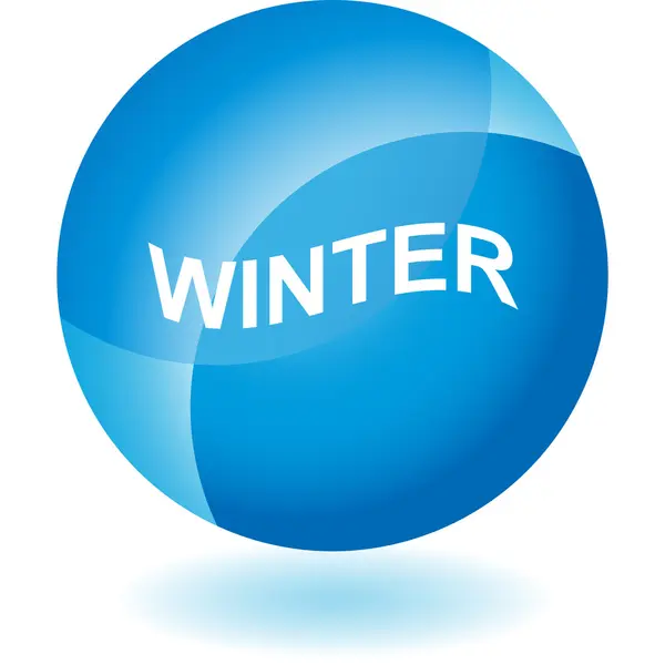 Winter sign web button — Stock Vector