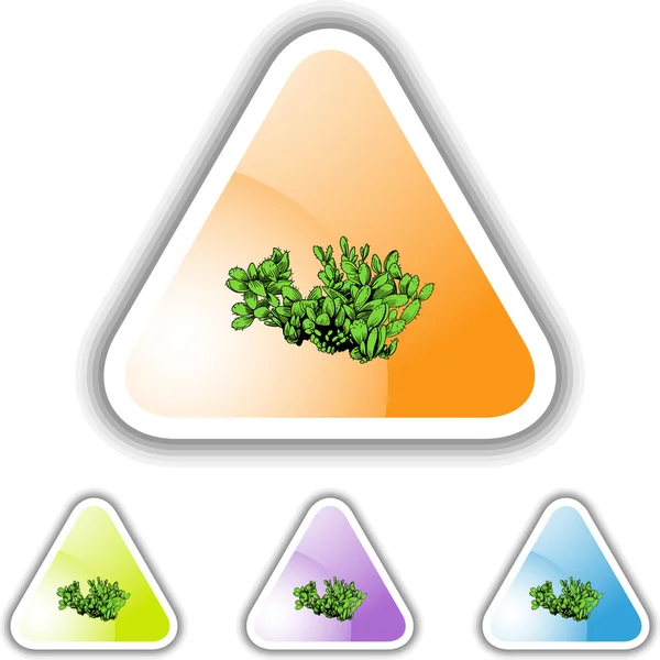 Cactus web pictogram — Stockvector