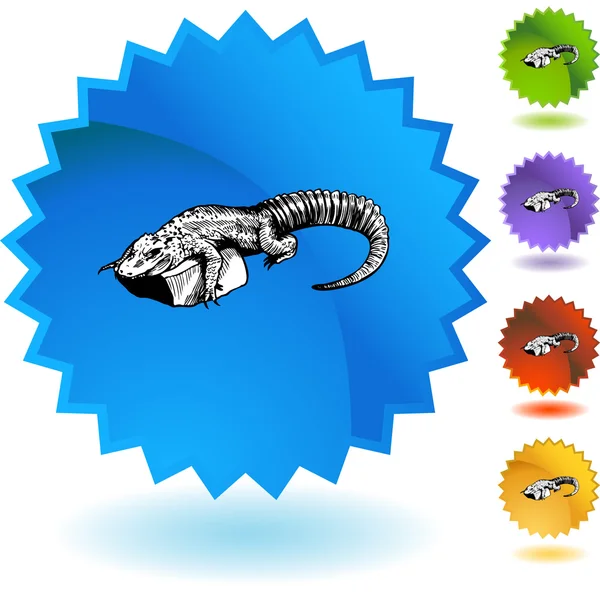 Alligator web button — Stock Vector