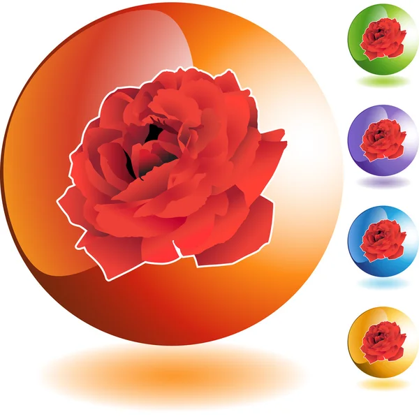 Rose icono web — Archivo Imágenes Vectoriales