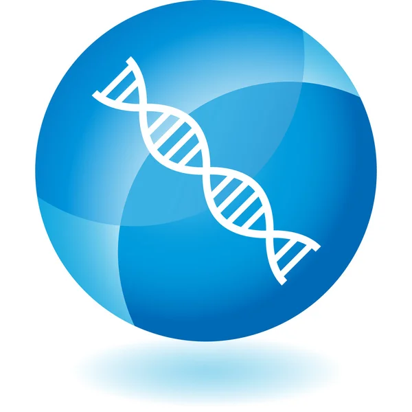 DNA Strand web icon — Stock Vector