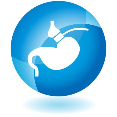 Gastrik Bypass web düğmesi