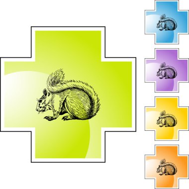 Sincap web düğmesi