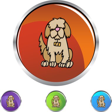 Saint Bernard web simgesi