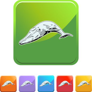 Balina web düğmesi