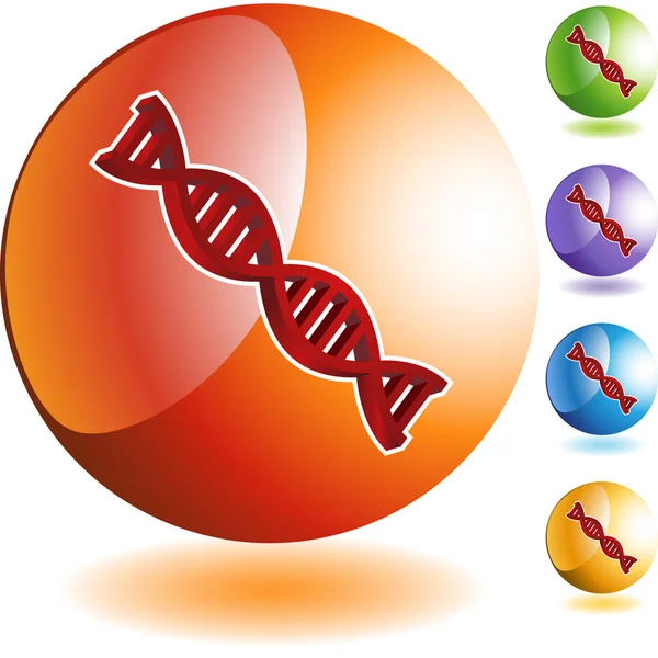 Icona web del codice genetico — Vettoriale Stock