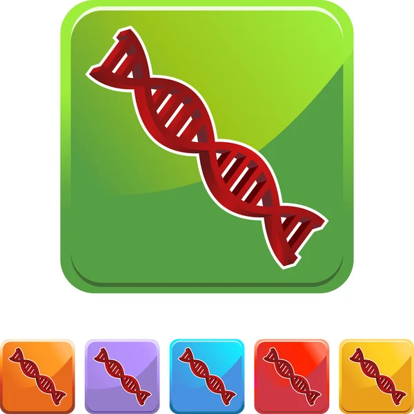 Icona web del codice genetico — Vettoriale Stock