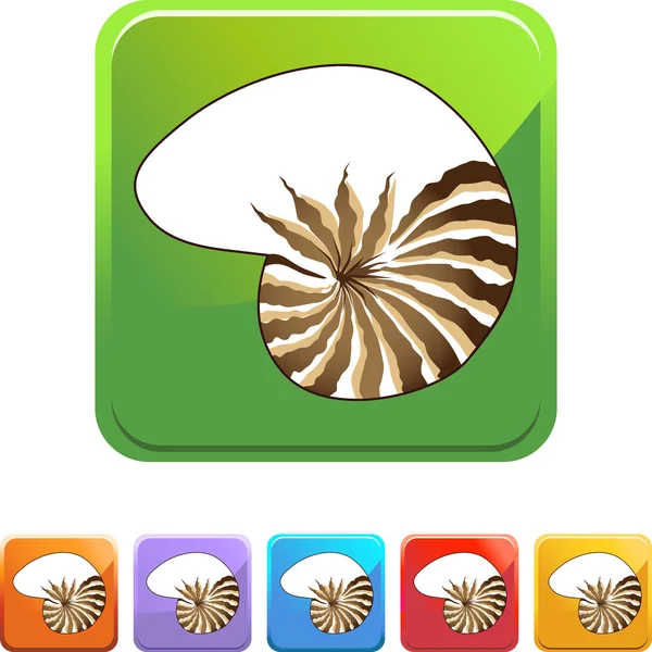 Icono web Seashell — Vector de stock