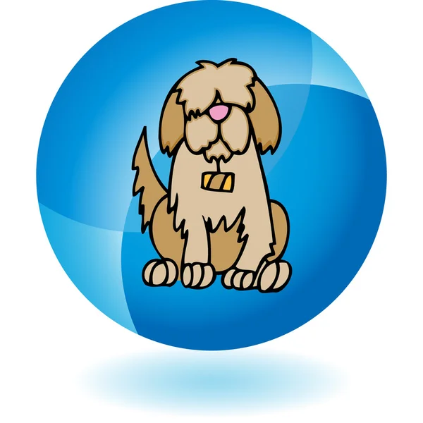 Saint Bernard web icon — Stock Vector