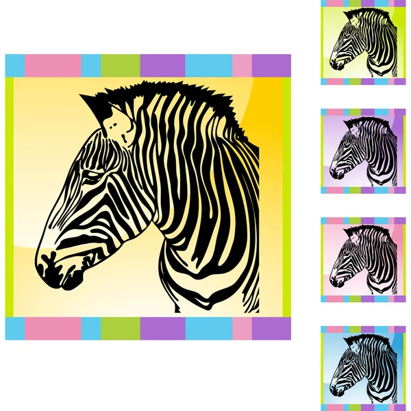 Zebra web knop — Stockvector