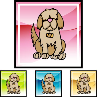 Saint Bernard web simgesi