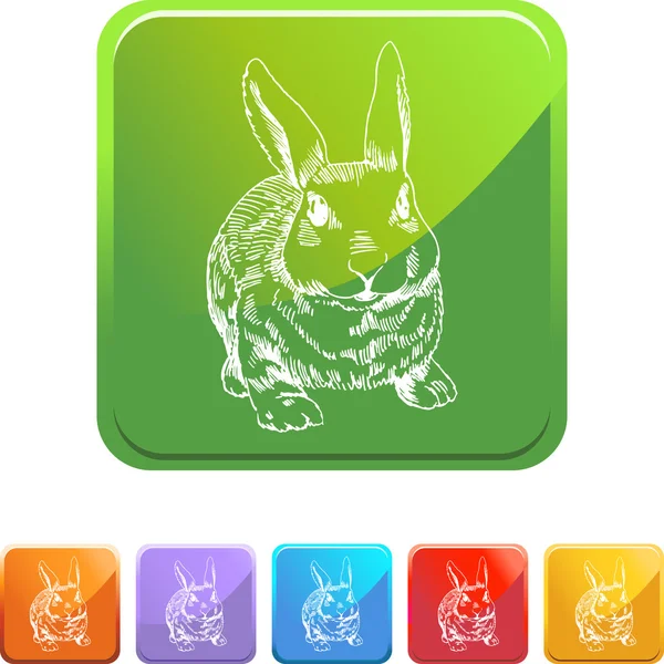 Паутина кролика — стоковый вектор
