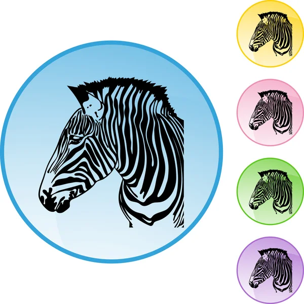 Pulsante web zebra — Vettoriale Stock