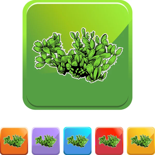 Icône web cactus — Image vectorielle