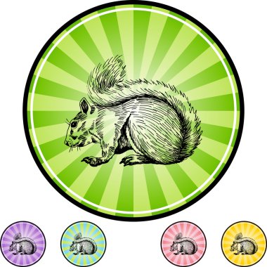 Sincap web düğmesi