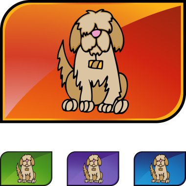 Saint Bernard web simgesi