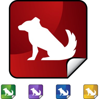 Çince Zodyak işareti hayvan