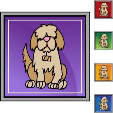 Saint Bernard web simgesi