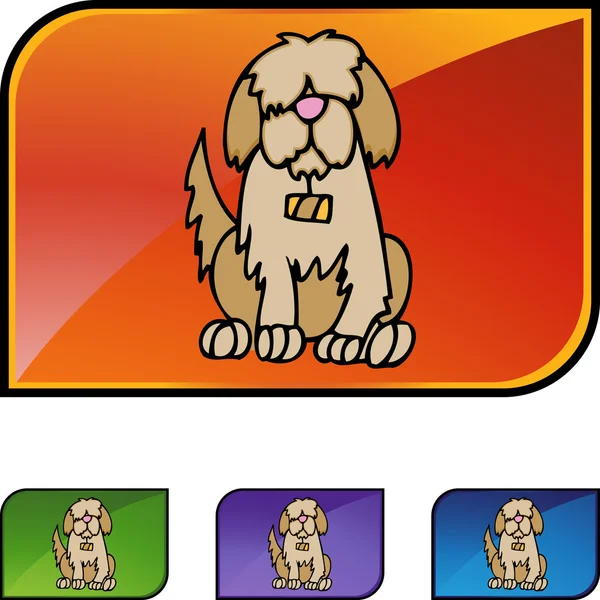 Saint Bernard web simgesi