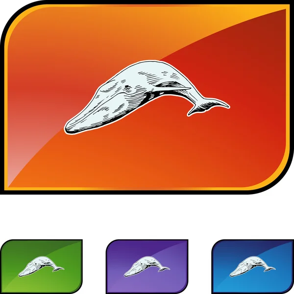 Botão web de baleia — Vetor de Stock