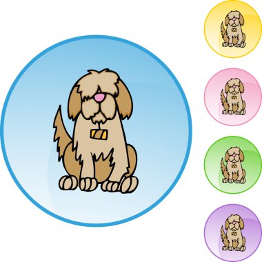 Saint Bernard web simgesi