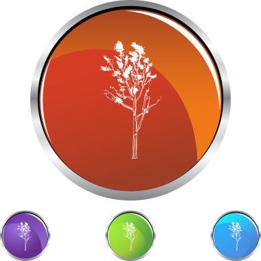 Sıska ağaç web düğme kümesi