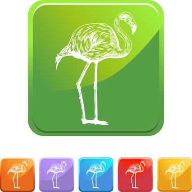 Pembe Flamingo web simgesi