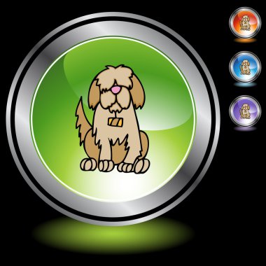 Saint Bernard web simgesi