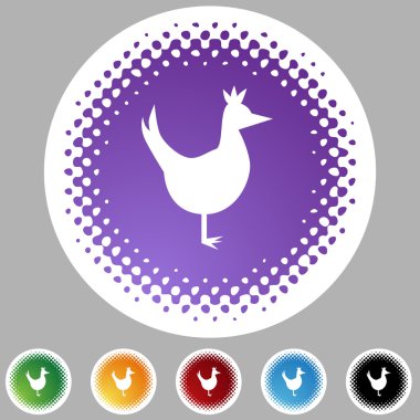 Tavuk Icon Set