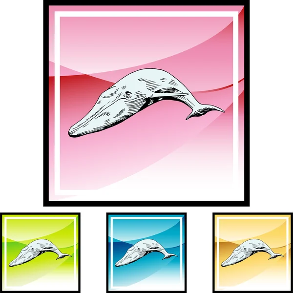 Botão web de baleia — Vetor de Stock