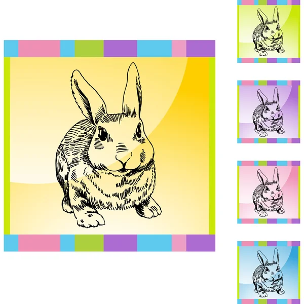 Conejo botón web — Vector de stock
