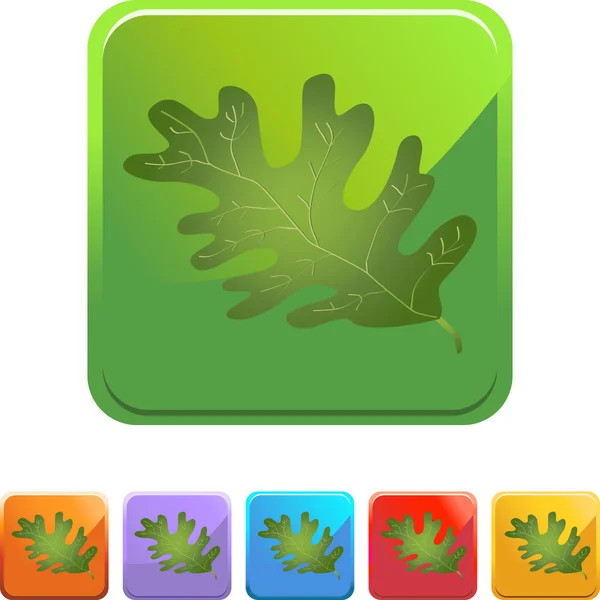 Δρύινα φύλλα κουμπί web — Διανυσματικό Αρχείο