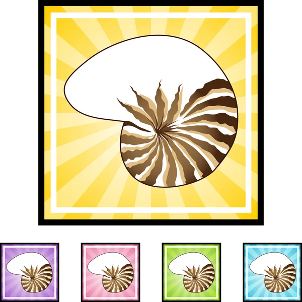 Seashell web simgesi — Stok Vektör